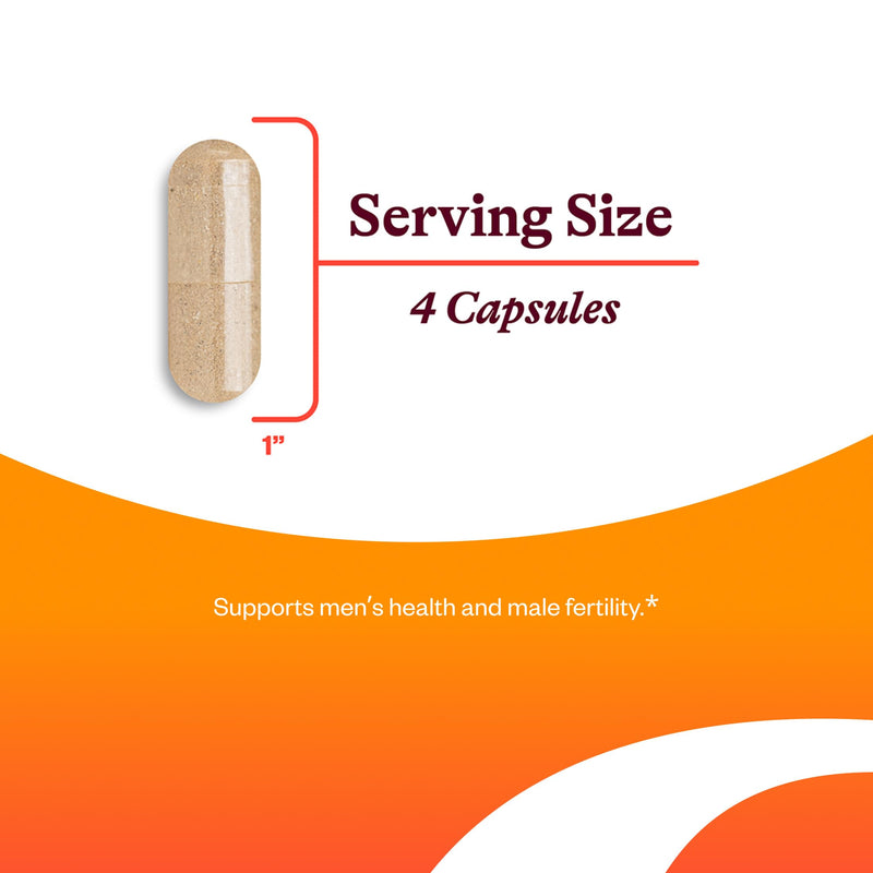 Seeking Health Optimal Man - Multivitamin Supplement with Zinc, Active Folate, & Alpha-Lipoic Acid - Multivitamin Supports Energy & Brain - Support Aging & Men's Health - 30 Servings