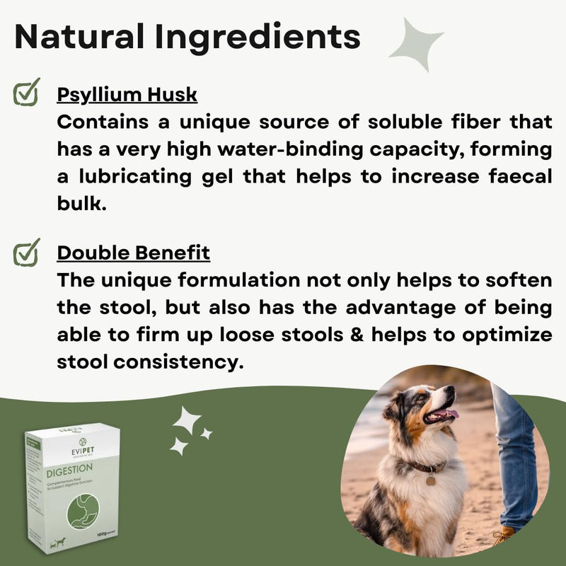 Digestion Complementary Feed for Cats and Dogs | 1 x 100g Sachet | Gluten Free | Helps Normalise Digestive Function