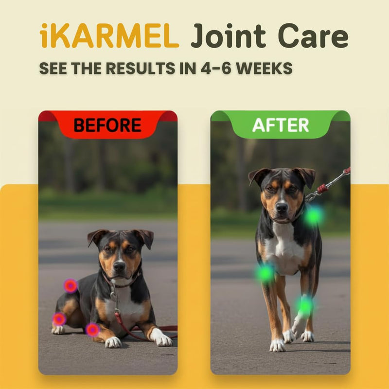 Joint Supplements for Dogs | Hip and Joint Care | with Glucosamine, Chondroitin, and Green-Lipped Mussels | Puppy to Senior Dog Treats for Stiff Joints 130