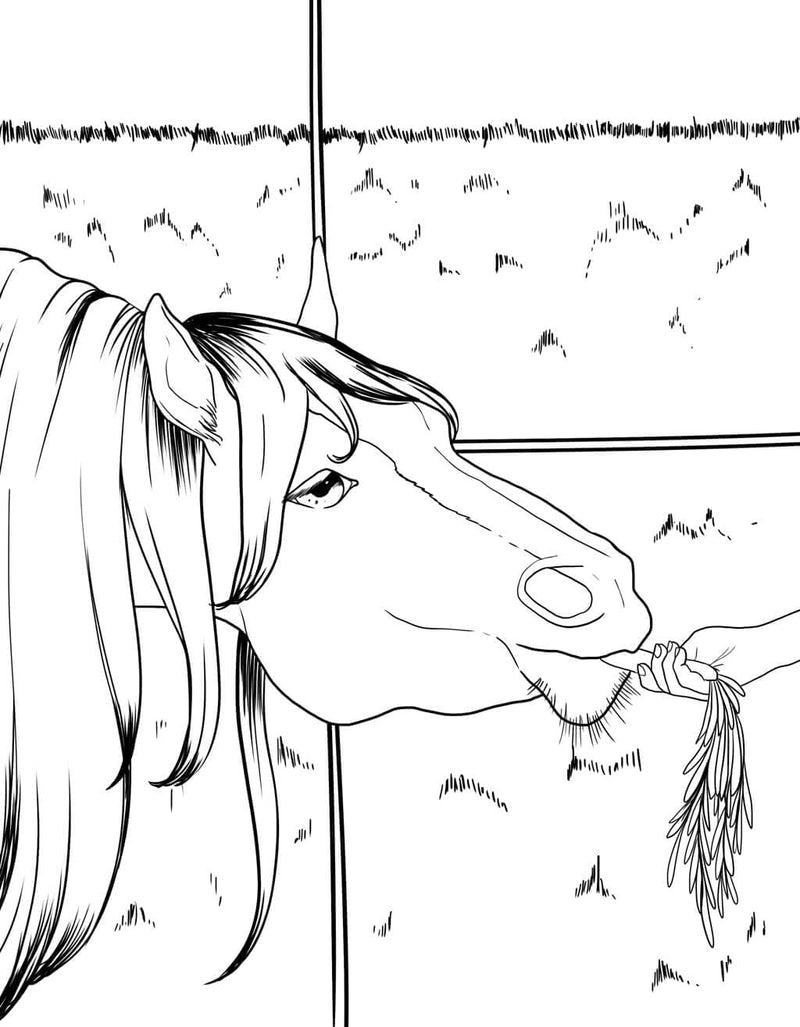 Horse Coloring Book: For Kids Ages 9-12 (Young Dreamers Coloring Books) - BeesActive Australia