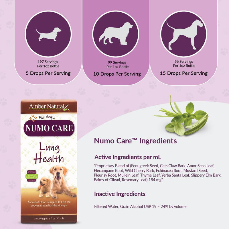 Amber NaturalZ Numo Care Lung Health Herbal Supplement for Dogs | Canine Herbal Supplement for Bronchial Support and Respiratory Lung Health | 1 Fluid Ounce Glass Bottle | Manufactured in The USA 1 Ounce (Pack of 1) - PawsPlanet Australia