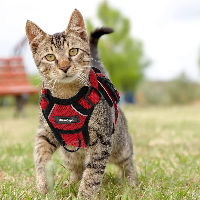 Cat Harness with Leash Escape-Proof Cat Leash Set Adjustable Soft Kitten Vest with Reflective Strips Chest Harness for Small Kittens (Red, XS) Red - BeesActive Australia