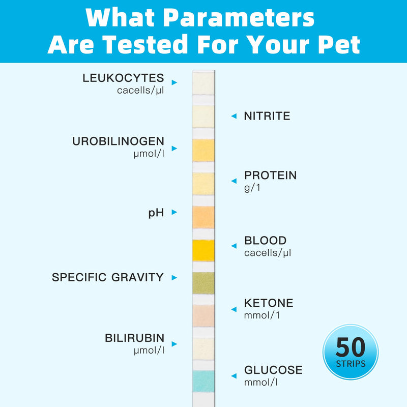 Dog UTI Test Strips, 10 Parameter Urinalysis Parameter Tests for Dogs, Cats, Accurate Testing for Veterinarians 50ct, Detects UTI, Bladder, Kidney, Liver, SG, pH, Diabetes, Glucose etc - BeesActive Australia