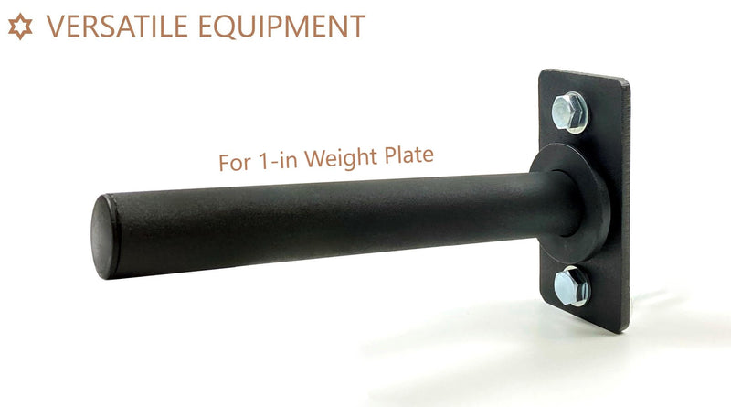 Trenbon Standard Wall Mount Weight Plate Holder for 1" Standard Weight Plate & Wall Mount Storage, 100lb Capacity (Black Single) - BeesActive Australia