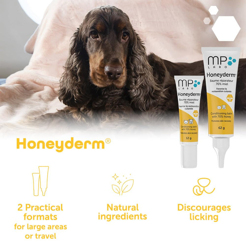 Honeyderm Balm for Cats & Dogs – Soothing Honey Balm for Dry or Irritated Skin, Minor Wounds & Cracks – Safe, Fragrance-Free, 62g Tube