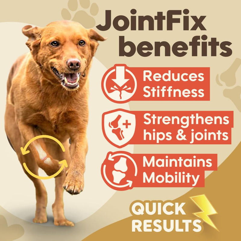 Bouncer's Joint Supplements for Dogs - High Strength Glucosamine, Chondroitin & Hyaluronic Acid | Affordable Mobility Support for Senior Dogs | 100% Recyclable | Letterbox Friendly 240 Tablet Pack