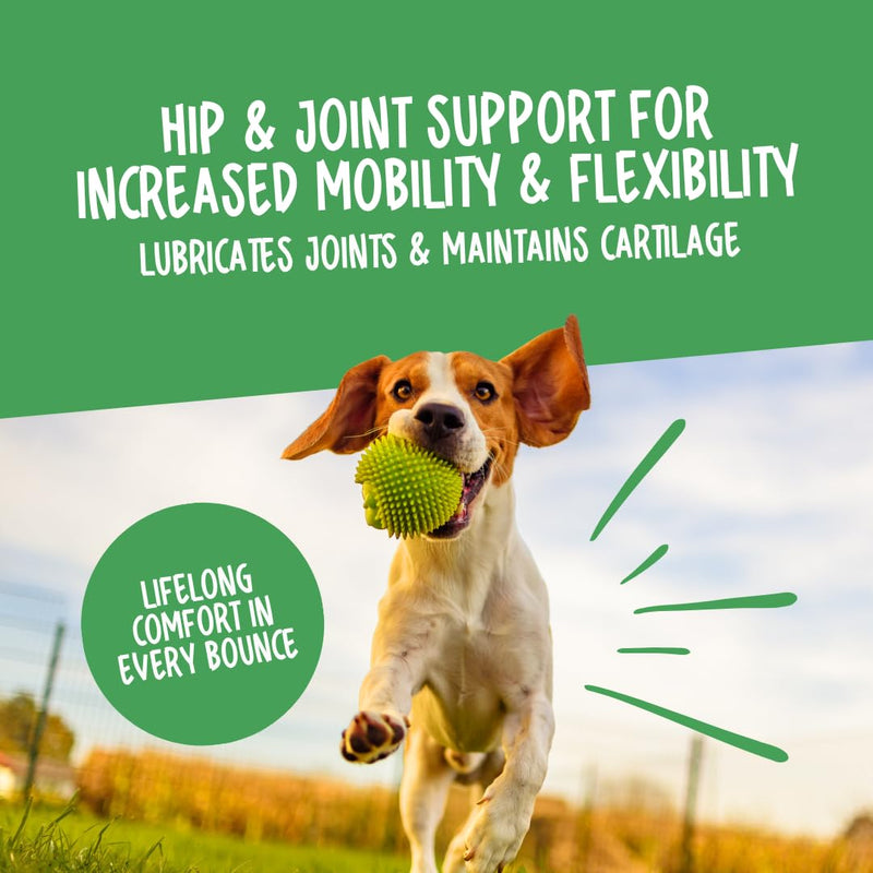Green Lipped Mussel for Dogs, 120 Tablets. With Natural Joint Supplements for Dogs Glucosamine, Chondroitin and Omega 3 for Hip & Joint Care, Mobility & Vitality in Adult and Senior Dogs