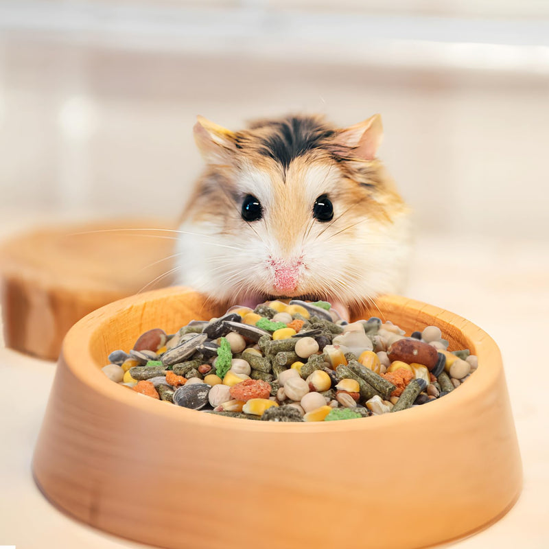 Nobleza - (500g) balanced hamster food, staple food for hamsters with vegetables, natural rodent food for guinea pigs with vital vitamins and minerals - BeesActive Australia