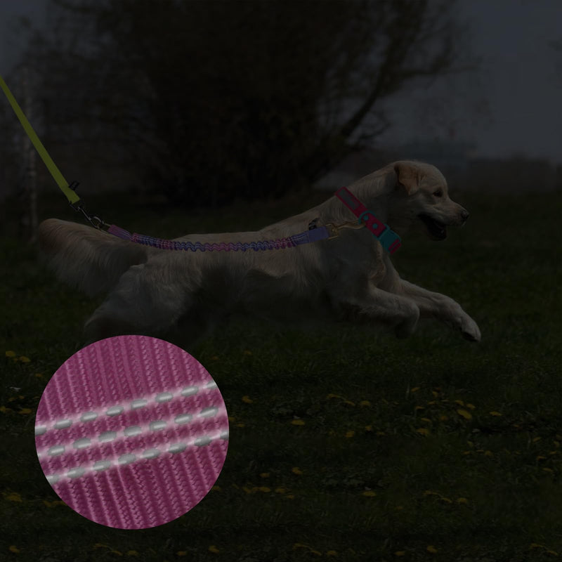 Shock Absorber Reflective Threads Bungee Dog Leash for Running，Trainning，Recall 2-Pack Purple-red Gradient 35-70cm - BeesActive Australia