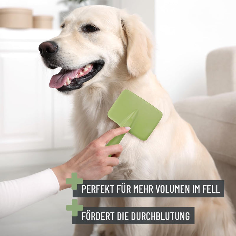 ReaVET dog brush, cat brush, slicker brush for long-haired dogs and cats I large breeds (L) I gently removes undercoat, tangles and knots I pet brushes large breeds (L) - BeesActive Australia