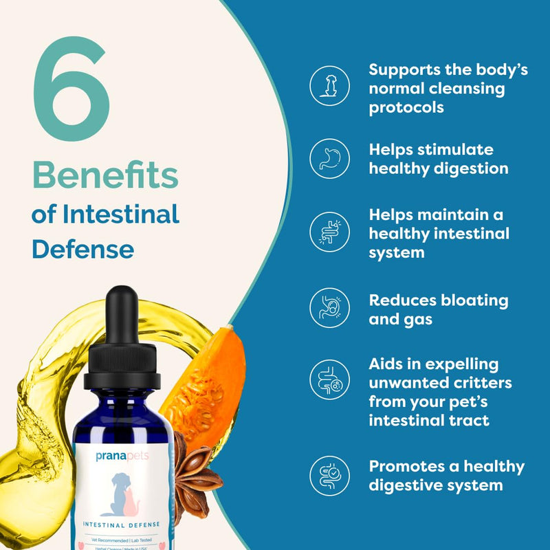PranaPets Intestinal Defense Supplement for Dogs & Cats | Naturally Helps Digestive Issues in Pets | Herbal Formula 1 Pack - PawsPlanet Australia