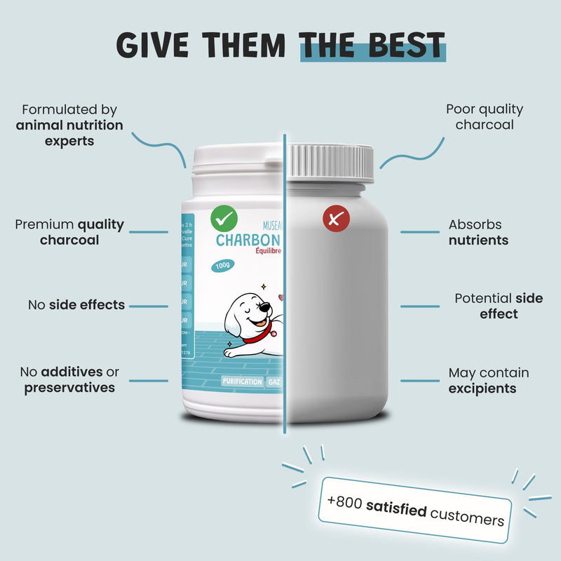 Museau & Co Activated Charcoal for Dogs and Cats - 100g - Digestion, Bloating, Constipation, Diarrhea, Excessive Flatulence Made in France
