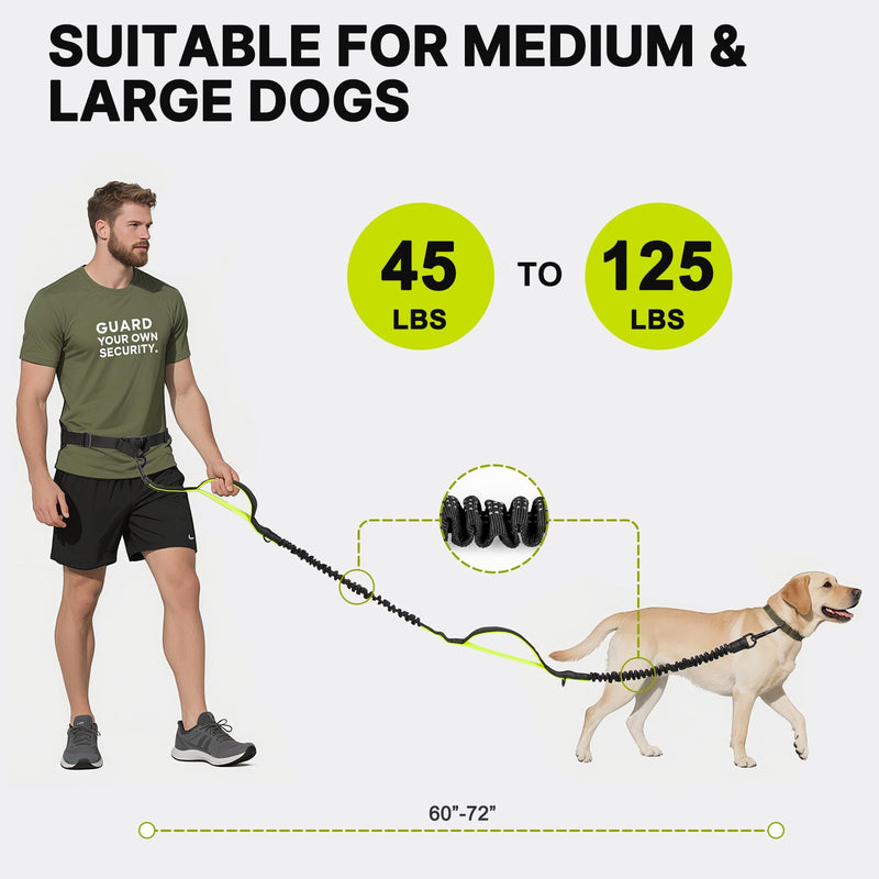 Hands Free Dog Leash for Medium Large Dogs, Waist Support Padded Bungee Dog Running Leash with Reflective Stitching for Walks, Jogging, Running, Hiking, and Dog Training for One Dog Black/Green - BeesActive Australia