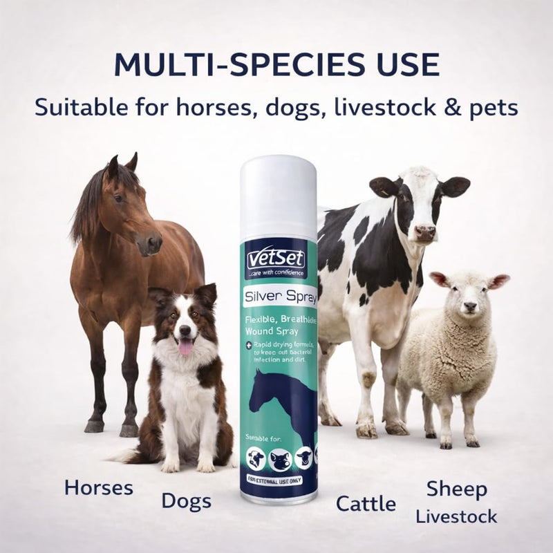 Silver Aluminium Spray for Animal Wounds | Veterinary Antiseptic Silver Spray for Horses, Dogs, Livestock & Equine Use | Breathable Protective Coating for External Wounds & Abrasions, 250ml Silver Spray 250ml (Pack of 1)