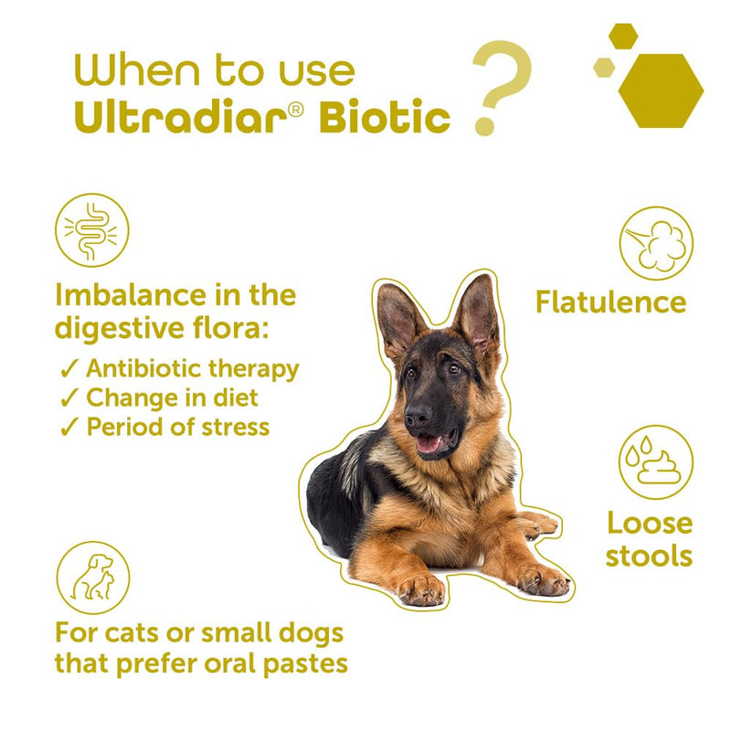 ULTRADIAR BIOTIC PASTE (60, Millilitres)