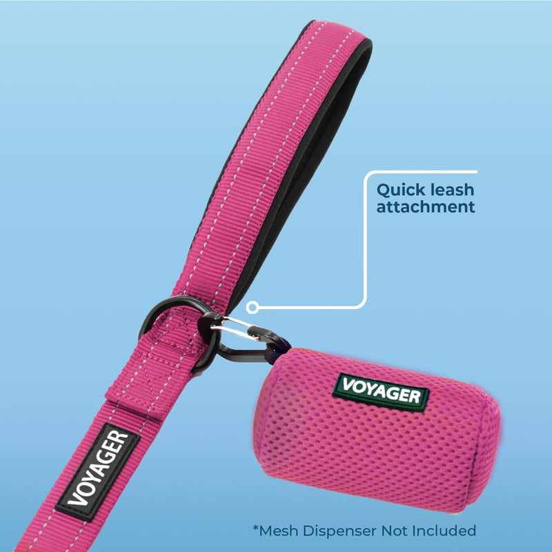 Voyager Reflective Dog Leash with Neoprene Handle, 5ft Long, Supports Small, Medium, and Large Breed Puppies, Cute and Heavy Duty for Walking, Running, and Training - Fuchsia (Leash), S Leash (Fuchsia) 5/8" x 5ft - BeesActive Australia