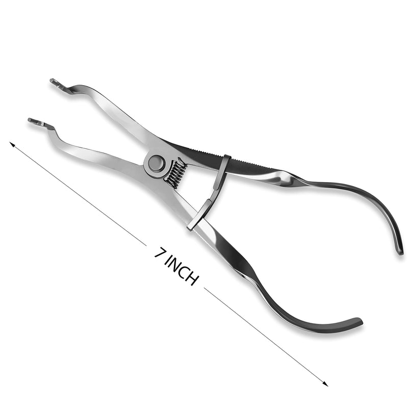 SURGICAL ONLINE Comprehensive Dental Rubber Dam Kit - Medical Grade Stainless Steel, Rubber Dam Clamps, Punch Plier, Endodontic Supplies, and Dental Isolation Tools. - BeesActive Australia