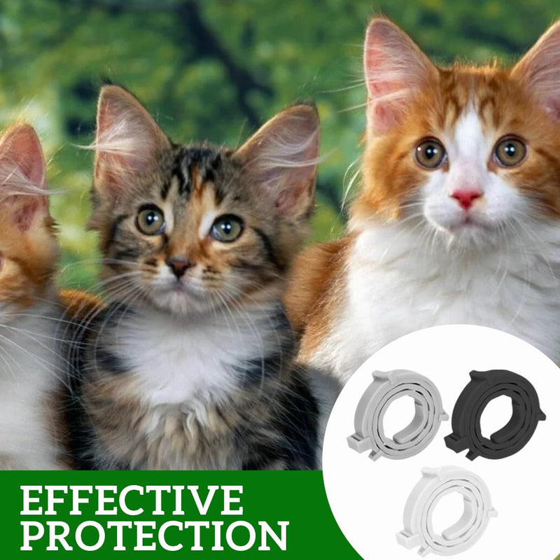 ZORTVUL Pack of 3 flea collars for cats, flea collar for dogs, small, tick flea protection collar, tick collar for cats, tick flea collar for cats, flea tick collar for dogs and cats - BeesActive Australia