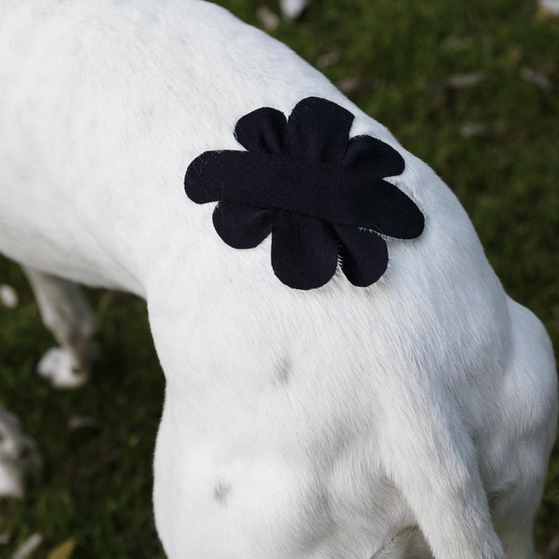 VETKIN VetkinTape Canine & Equine Kinesiology Tape | Veterinary Medical Tape | Vet Wrap for Joint Support & Pet Care | Self Adhesive Bandage Wrap | Black | 2.4in | (Pack of 1)