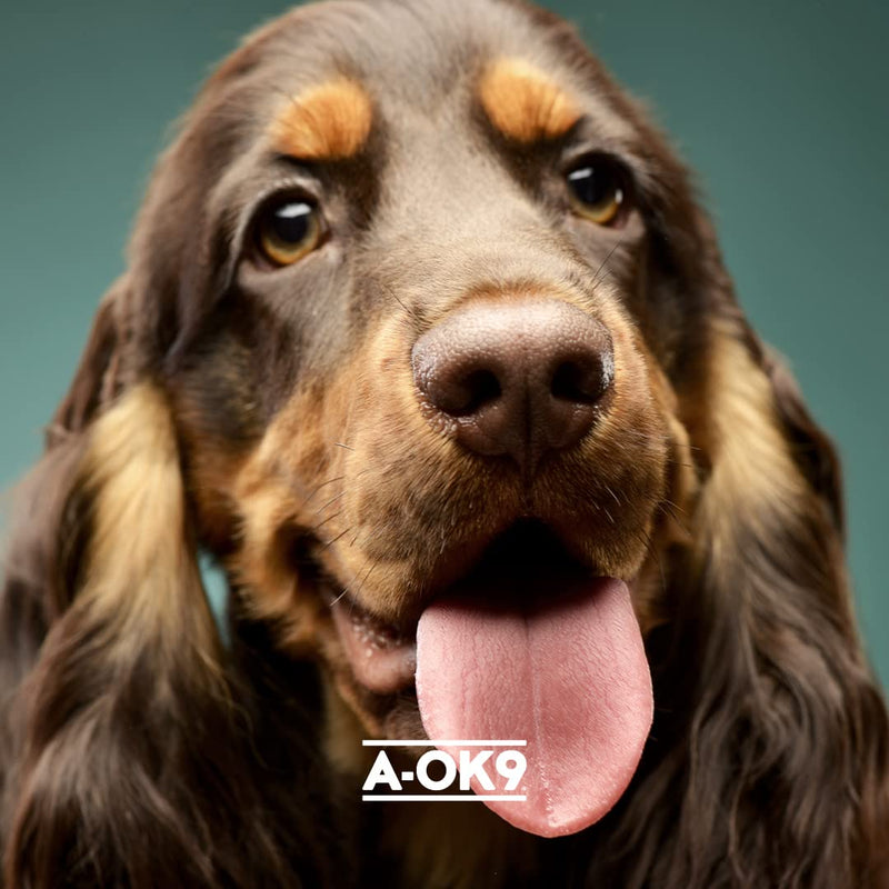 Senior Calm-K9 | Calming Support Supplement for Senior Dogs | Supports Relaxed Behaviour During Fireworks & Travel | Natural Ingredients & Superfoods | Mix with Dog Food