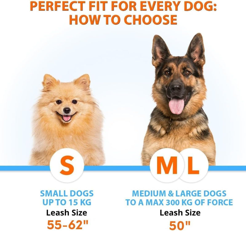 SparklyPets Hands Free Double Dog Leash – Dual Leash for Medium and Large Breeds – Lead for 2 Dogs with Padded Handles, Reflective Stitches, No Pull, Tangle Free Gray 2 dogs M/L - BeesActive Australia