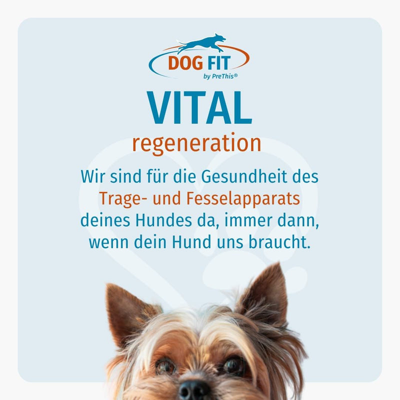 DOG FIT by PreThis® VITAL Regeneration for dogs I Strengthening the intervertebral discs, for herniated discs, weak tendons and ligaments, cartilage wear and after operations I Free from additives - BeesActive Australia