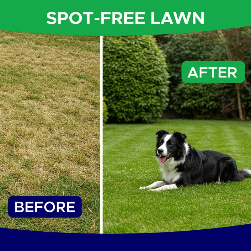 Green Grass Dog Chews for Lawn Protection – Dog Urine Neutralizer for Grass Burn Spots – Lawn Restore Treats – Made in USA – 120Ct Soft Chews 120Ct (Bacon)