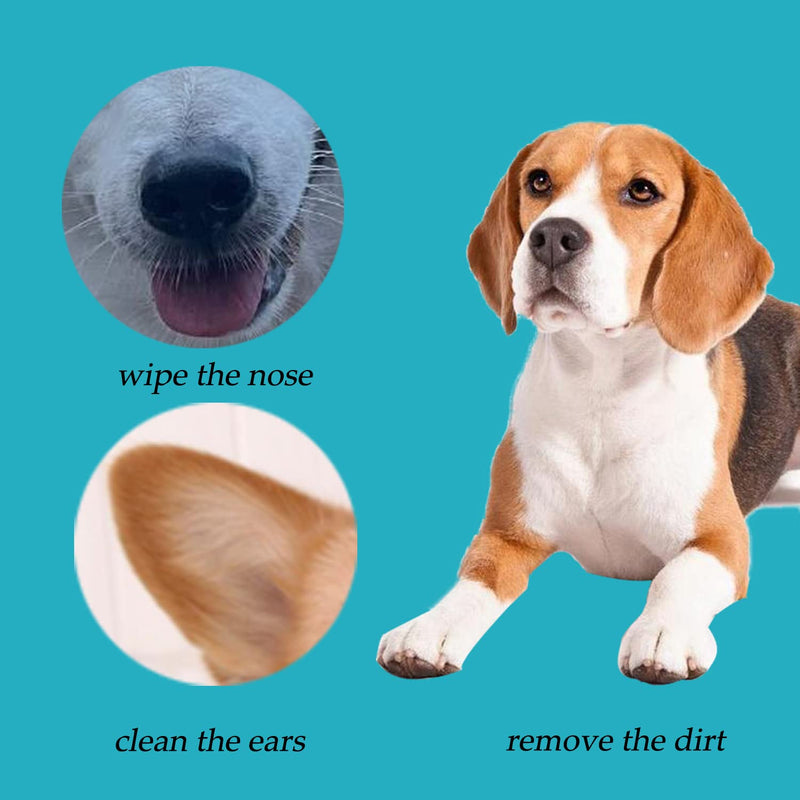 6 Inch Long Cotton Swabs,Large Cotton Buds with Bamboo Handle for Dogs, Specifically Designed for Dogs,Professional Big Cotton Swabs，Dogs Ears Large Cotton Swabs 100pcs 100 Count (Pack of 1) - BeesActive Australia