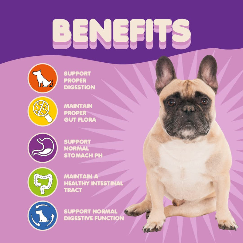 Probiotics for Dogs & Puppies–Extra Strength 9 Species, 5 Billion CFU per Scoop of Powder Digestive Enzymes for Dogs. Gut Fiber & Allergy Relief Pouch (135 Serves)