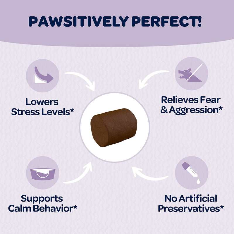 Calming & Multivitamin Chews for Dogs | Vitamins for Skin, Coat, Hip & Joint Health | Helps with Dog Anxiety, Separation & Barking | 90 Chews Each - PawsPlanet Australia