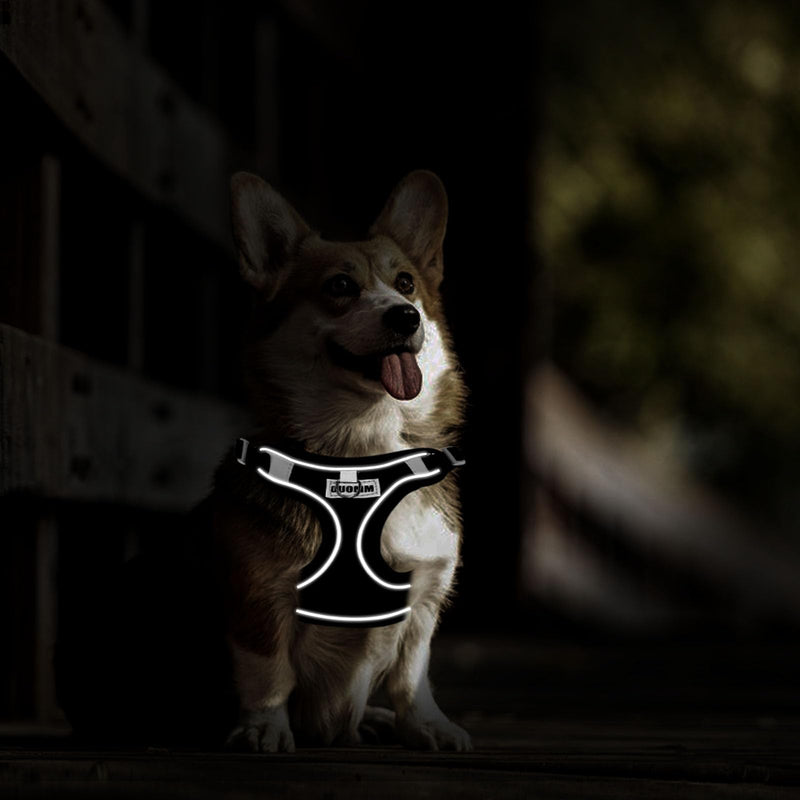 RAFIYU Anti-Pull Dog Harness Small Medium Dogs, Breathable Harness Dog Harness Luminous, Puppy Harness Luminous Harness for Dogs, Safety Harness Dog Chest Harness (M) M - BeesActive Australia