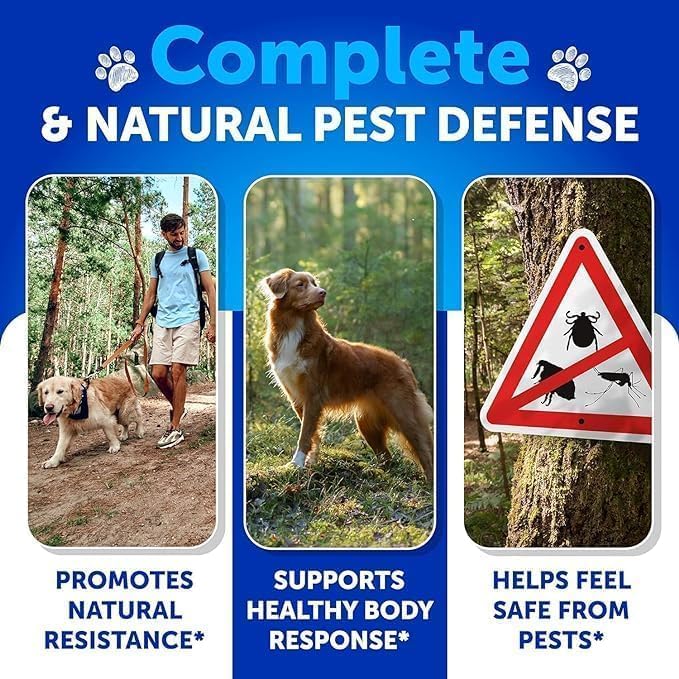 Flea and Tick Prevention for Dogs Chewables - Made in USA - Natural Flea and Tick Supplement for Dogs - 240 Immune Support Chews (2 Pack) - Vitamins B1, B6, B12 - All Breeds and Ages 240 chews