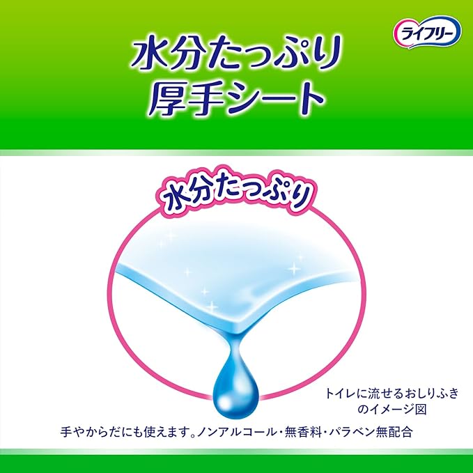 Lifeley Adult Wipes, Flushable in the Toilet, 864 Sheets (72 Sheets x 12) [Case Item] -  Australia