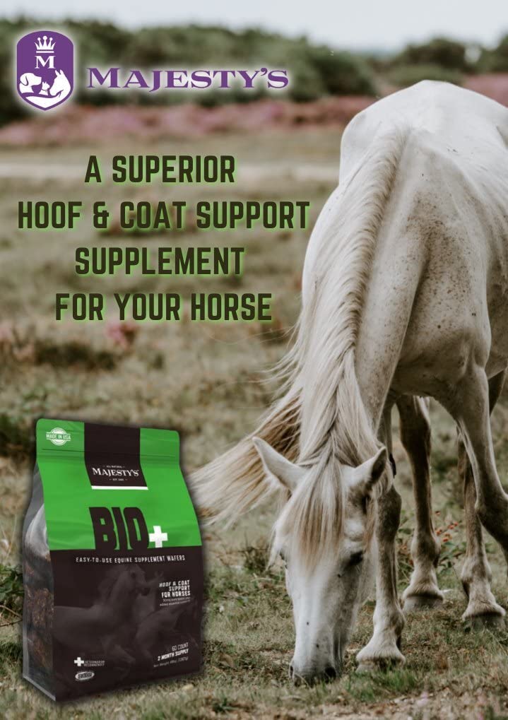 Majesty's Biotin Wafers - Superior Horse / Equine Hoof and Coat Support Supplement - Copper, Zinc, Lysine, Methionine - 30 Count (1 Month Supply) - BeesActive Australia