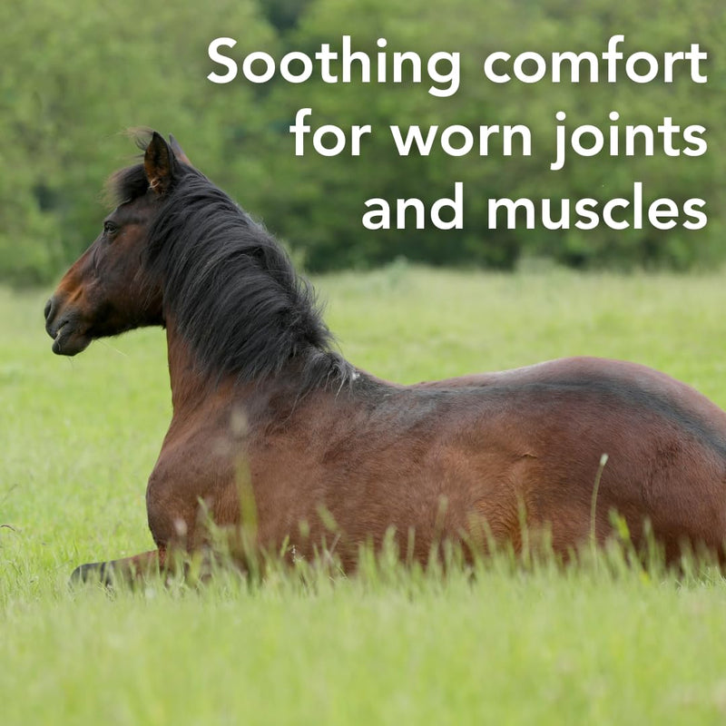 Zerobute™ | Horse Joint Supplement for Soothing Comfort for Worn Joints and Muscles | 29 Days Supply | 1.0kg | 100% British Made