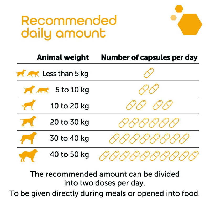 MP Labo Hepa+® MP for Dogs and Cats – 30 Sprinkle Capsules | Veterinary Grade Liver & Gall Bladder Support with SAMe Precursor Zinc-Methionine, Silymarin-Rich Milk Thistle & Fumitory