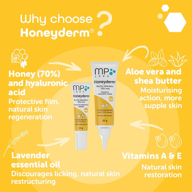 Honeyderm Balm for Cats & Dogs – Soothing Honey Balm for Dry or Irritated Skin, Minor Wounds & Cracks – Safe, Fragrance-Free, 62g Tube