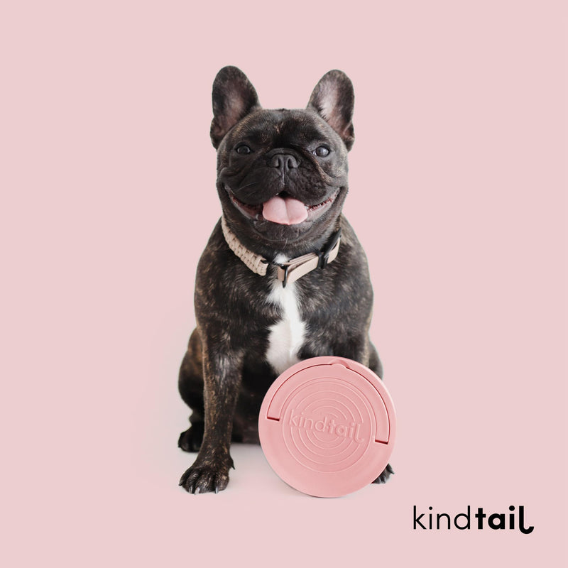 KindTail Bowls, Travel Dog Bowls, Portable Pet Bowls, Microwave and Dishwasher-Safe Dog Bowls with Lid and Handle, Inner Bowl with 10oz Capacity and Outer Bowl with 20oz Capacity… (Small, Rose Pink) Small - BeesActive Australia