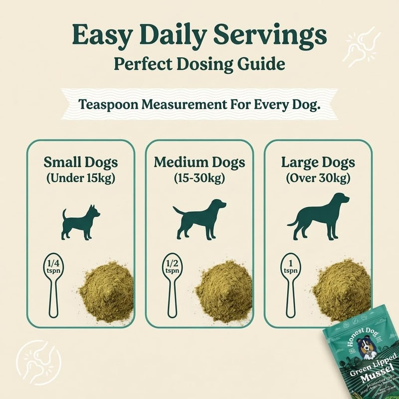 Green Lipped Mussel for Dogs | 100% Pure New Zealand Green Lipped Mussel Powder | Joint Supportwith Omega 3, Glucosamine & Chondroitin | Additive Free, Freeze Dried | 200g | by Honest Dog Co. 200 Grams