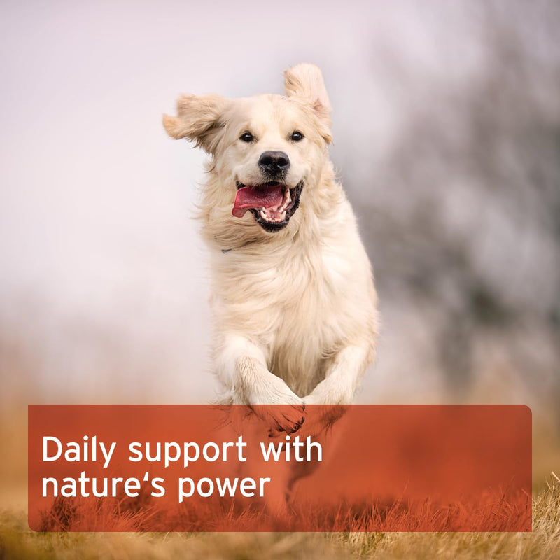 AniForte Rosehip Powder for Dogs and Cats 250g - 100% Finely Grounded Rose Hips, Rich in Natural Vitamin C, Supports & Maintains Immune System & Joint Health