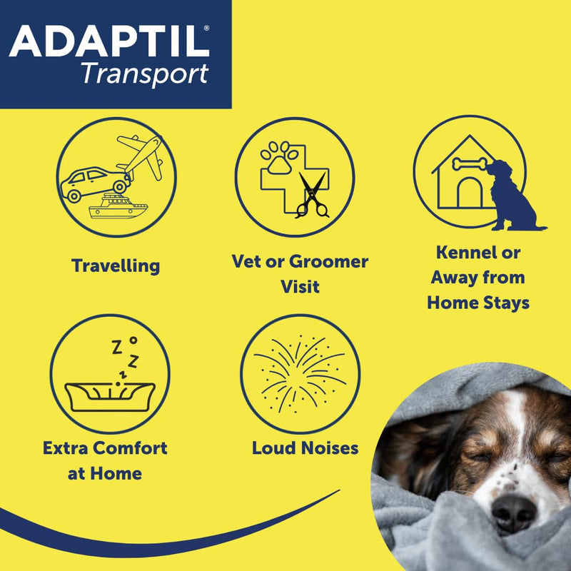 Adaptil Transport Spray For Dogs 60ml, Adaptil Dog Calming Spray Uses Pheromones To Help Reduce Anxiety And Stress In Pet Dogs, Pheromone Spray Helps Anxious Dogs Stay Calmer 60 ml (Pack of 1)