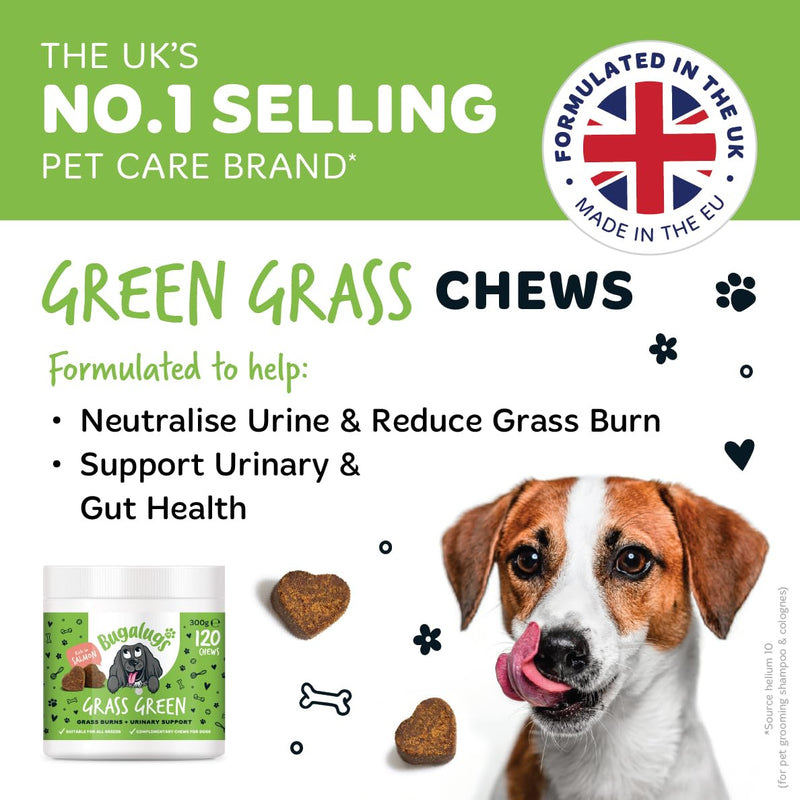 Bugalugs Grass Green Dog Supplement Chews helps support Dog Urine Neutraliser for Grass Burn with Cranberry that helps Urinary & Gut Health, Rich in Salmon, 120 Chews 300g (Pack of 1)