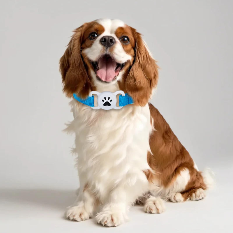 Airtag Collar for Small Medium Dogs, Stretchy Dog Collar with Apple Air Tag Holder, Water Resistant Elastic Integrated Anti Lost Adjustable Lightweight blue - BeesActive Australia