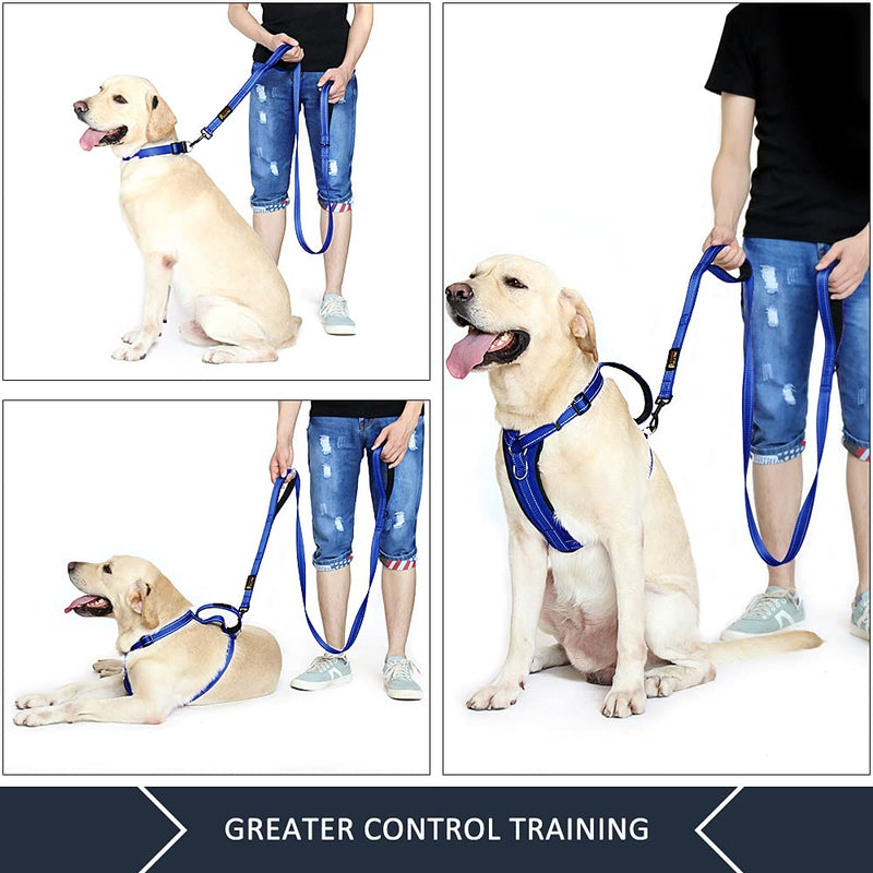 Plutus Pet Dog Leash 6ft Long,Traffic Padded Two Handle,Heavy Duty,Reflective Double Handles Lead for Control Safety Training,Leashes for Large Dogs or Medium Dogs,Dual Handles Leads(Navy Blue) Navy Blue - BeesActive Australia