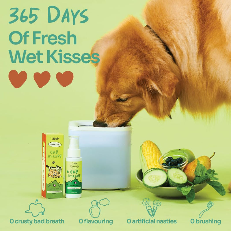 Notti Dental Fresh Advanced Plaque and Tartar Spray - Oral Care Spray - Water Additive - Pet Dental Care - No Toothpaste No Toothbrush - Eliminate Bad Dog and Cat Bad Breath - Freshen Breath