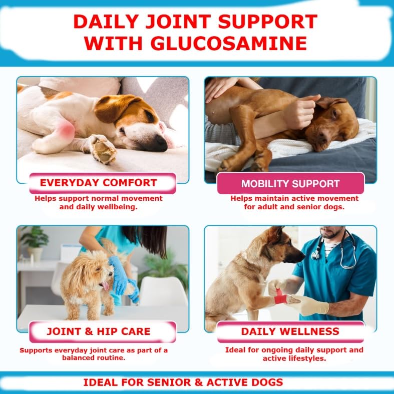 Joint Supplements for Dogs, Pain Relief for Dogs, Dog Joint Supplements for Senior Dogs, Chondroitin Drops for Dogs, Hip & Joint Glucosamine Drops for Dogs, Mobility Pain Relief, Natural Formula, 60ML