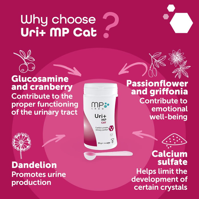 Uri+ MP Cat – Daily Urinary Support with Selected Nutrients – Bladder Supplement - Supports Nutritional Balance & Comfort – Powder with Measuring Spoon