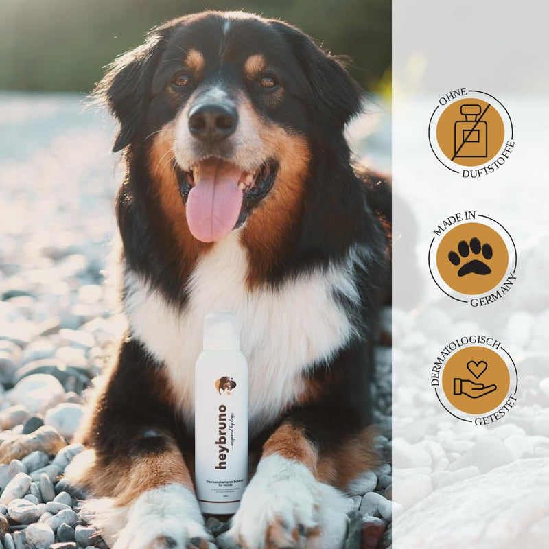 heybruno dog dry shampoo against odor | foam | without rinsing | Long hair & all lengths | Grooming care dermatologically tested - BeesActive Australia