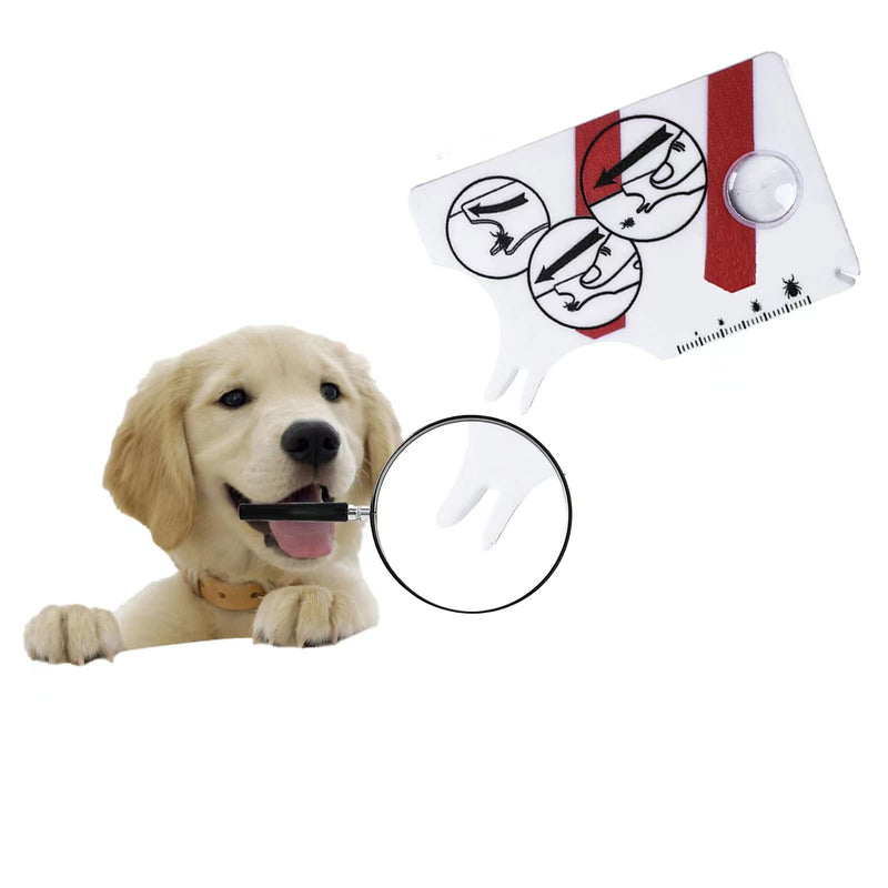 L.C. life 2 piece tick card, tick card for people, with magnifying glass, quickly and gently remove ticks from pets or people - BeesActive Australia