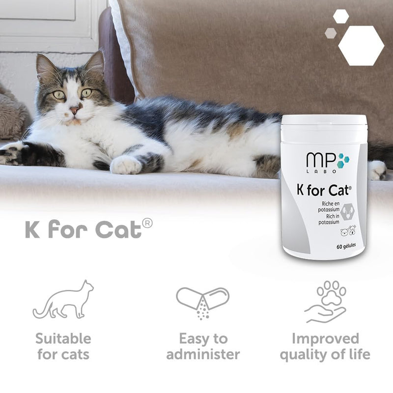 K for Cat capsules